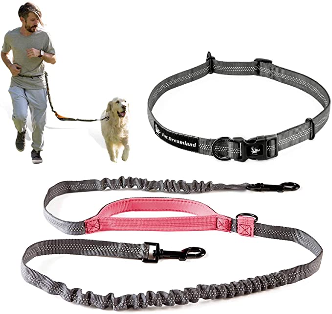 Best Dog Leash for Hiking in 2021 Glamper Tech